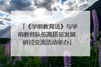 《学前教育法》与学前教师队伍高质量发展研讨交流活动举办
