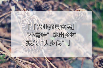 「兴业强县富民」“小青蛙”跳出乡村振兴“大步伐”
