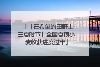 「在希望的田野上·三夏时节」全国夏粮小麦收获进度过半