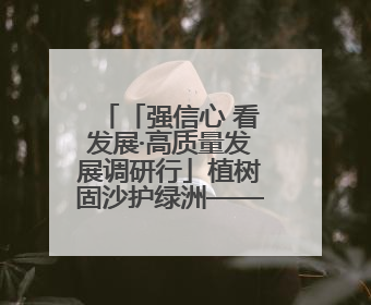 「强信心 看发展·高质量发展调研行」植树固沙护绿洲——武威市治沙造林筑牢生态安全屏障见闻