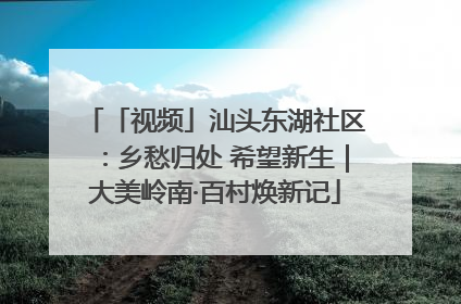 「视频」汕头东湖社区：乡愁归处 希望新生｜大美岭南·百村焕新记