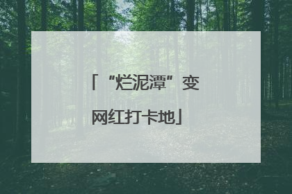 “烂泥潭”变网红打卡地