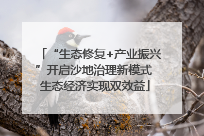 “生态修复+产业振兴”开启沙地治理新模式 生态经济实现双效益