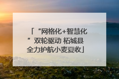 “网格化+智慧化”双轮驱动 柘城县全力护航小麦夏收