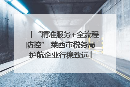 “精准服务+全流程防控” 莱西市税务局护航企业行稳致远