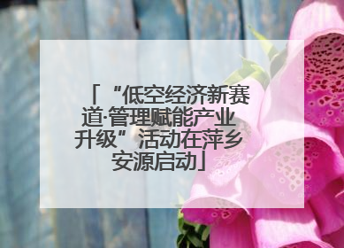 “低空经济新赛道·管理赋能产业升级”活动在萍乡安源启动