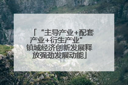 “主导产业+配套产业+衍生产业” 镇域经济创新发展释放强劲发展动能