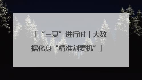 “三夏”进行时｜大数据化身“精准割麦机”