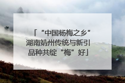 “中国杨梅之乡”湖南靖州传统与新引品种共绽“梅”好