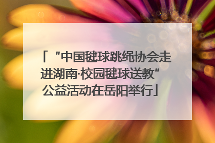 “中国毽球跳绳协会走进湖南·校园毽球送教”公益活动在岳阳举行