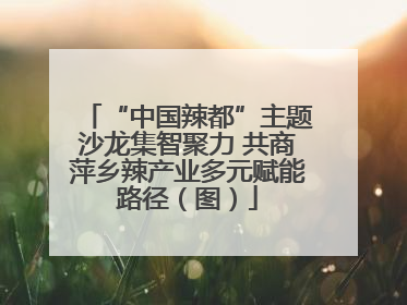 “中国辣都”主题沙龙集智聚力 共商萍乡辣产业多元赋能路径（图）