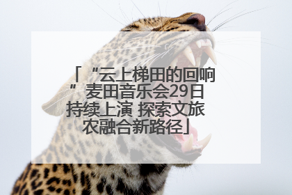 “云上梯田的回响”麦田音乐会29日持续上演 探索文旅农融合新路径
