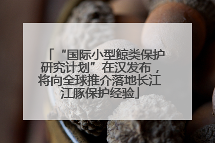 “国际小型鲸类保护研究计划”在汉发布，将向全球推介落地长江江豚保护经验