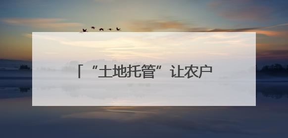 “土地托管”让农户当上“甩手掌柜”