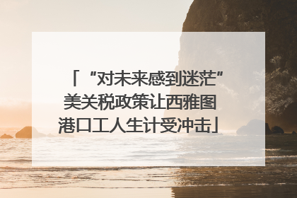 “对未来感到迷茫” 美关税政策让西雅图港口工人生计受冲击