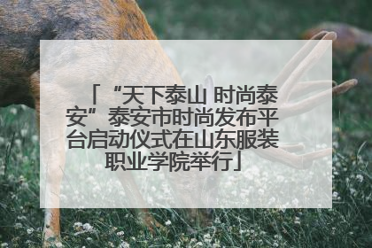 “天下泰山 时尚泰安”泰安市时尚发布平台启动仪式在山东服装职业学院举行