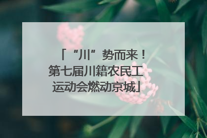 “川”势而来！第七届川籍农民工运动会燃动京城