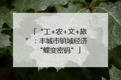 “工+农+文+旅”：丰城市镇域经济“蝶变密码”