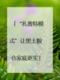 “扎赉特模式”让黑土粮仓家底更实
