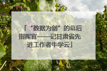 “数据为剑”的幕后指挥官——记甘肃省先进工作者牛学云