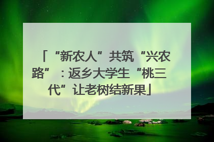 “新农人”共筑“兴农路”：返乡大学生“桃三代”让老树结新果