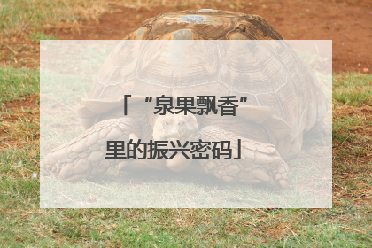 “泉果飘香”里的振兴密码