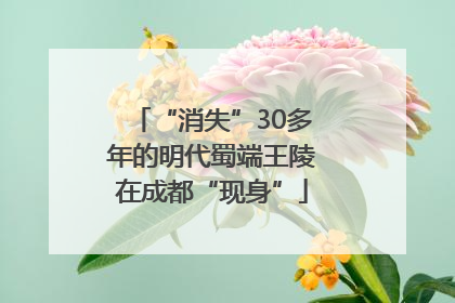 “消失”30多年的明代蜀端王陵在成都“现身”