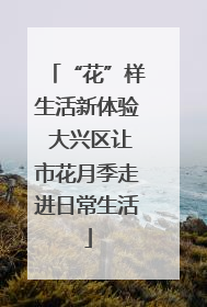 “花”样生活新体验 大兴区让市花月季走进日常生活