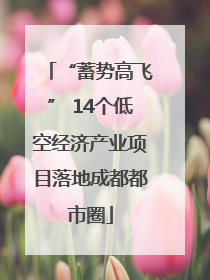 “蓄势高飞” 14个低空经济产业项目落地成都都市圈