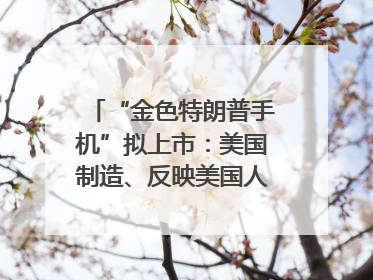 “金色特朗普手机”拟上市：美国制造、反映美国人价值观？质疑者：像天方夜谭