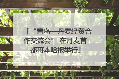 “青岛—丹麦经贸合作交流会” 在丹麦首都哥本哈根举行