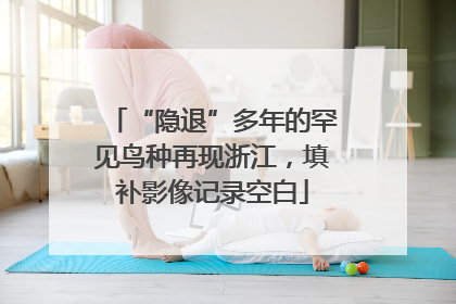“隐退”多年的罕见鸟种再现浙江，填补影像记录空白