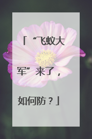 “飞蚁大军”来了，如何防？