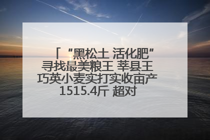 “黑松土 活化肥”寻找最美粮王 莘县王巧英小麦实打实收亩产1515.4斤 超对照田144斤！