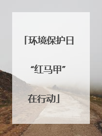 环境保护日 “红马甲”在行动