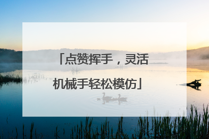 点赞挥手，灵活机械手轻松模仿