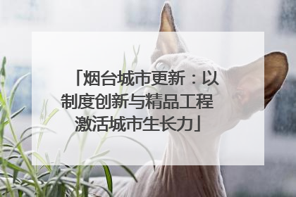 烟台城市更新：以制度创新与精品工程激活城市生长力