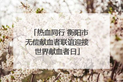 热血同行 衡阳市无偿献血者联谊迎接世界献血者日