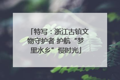 特写：浙江古镇文物守护者 护航“梦里水乡”慢时光