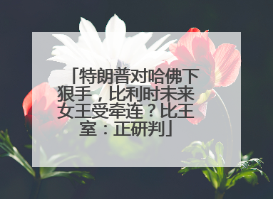 特朗普对哈佛下狠手，比利时未来女王受牵连？比王室：正研判