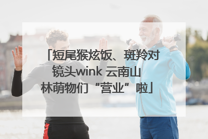 短尾猴炫饭、斑羚对镜头wink 云南山林萌物们“营业”啦