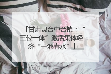 甘肃灵台中台镇：“三位一体”激活集体经济“一池春水”