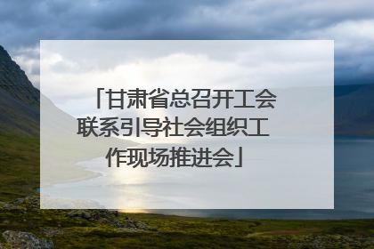 甘肃省总召开工会联系引导社会组织工作现场推进会