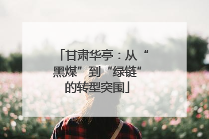 甘肃华亭：从“黑煤”到“绿链”的转型突围