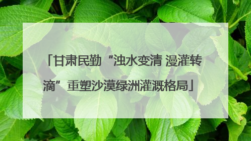 甘肃民勤“浊水变清 漫灌转滴”重塑沙漠绿洲灌溉格局