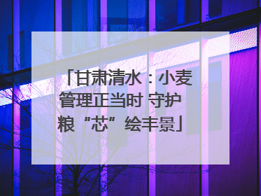 甘肃清水：小麦管理正当时 守护粮“芯”绘丰景