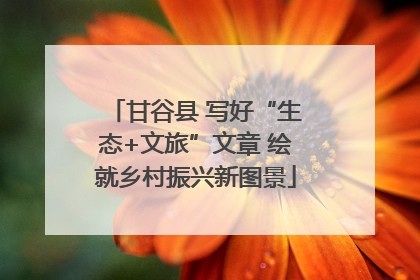 甘谷县 写好“生态+文旅”文章 绘就乡村振兴新图景