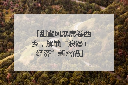 甜蜜风暴席卷西乡，解锁“浪漫+经济”新密码