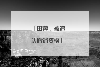 田蓉，被追认撤销资格