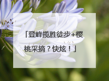 登峰揽胜徒步+樱桃采摘？快炫！
